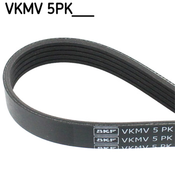 Courroie d'accessoires SKF VKMV 5PK1145